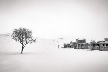 به سپیدی برف