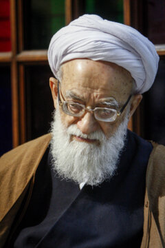 محمد امامی کاشانی