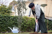 Лидер посадил саженец оливкового дерева в память о сопротивлении палестинского народа