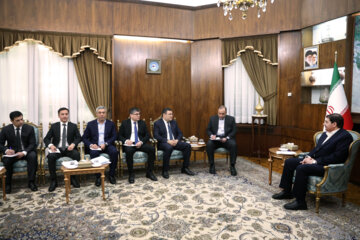 دیدار وزیر انرژی ازبکستان با معاون اول رییس جمهور