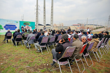کاشت ۱۴۰۳ نهال در کرمانشاه