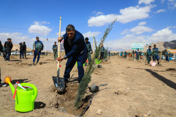 طرح کاشت یک میلیارد درخت در ۳۸ هکتار از اراضی ساوه اجرا شد