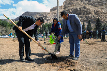 کاشت ۲۵۰ اصله درخت با عنوان «به یاد تو» یادمان شهدای حادثه ۱۳ دی‌ماه گلزار شهدا