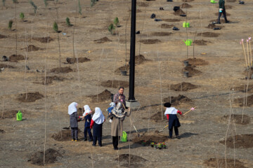 Mashhad lanza campaña de plantar árboles