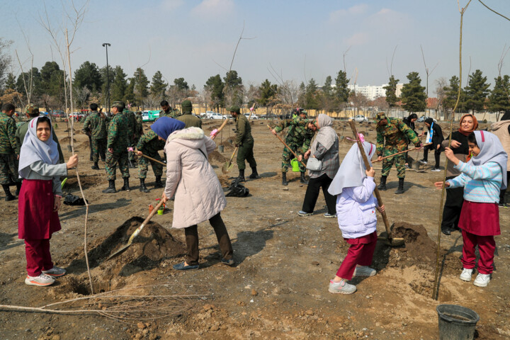 درختکاری؛ هدیهای که زمین هرگز فراموش نمیکند