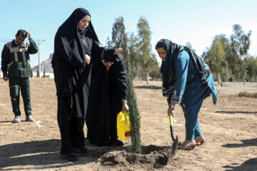 Visita de embajadores de la ACD a Yazd