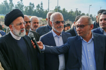 افتتاح کارخانه «پاک چوب شوش» با حضور رییس جمهور