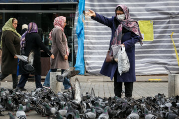 Palomas en la plaza Shardari de Rasht