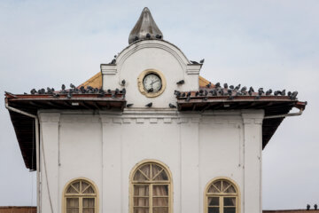 Les pigeons de la place Shahrdari de Rasht 