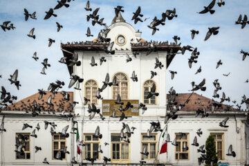 Palomas en la plaza Shardari de Rasht