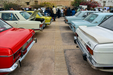 Rassemblement de voitures classiques à Bushehr dans le sud de l’Iran 
