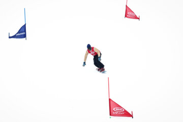 Skiing, snowboarding competitions held in Dizin