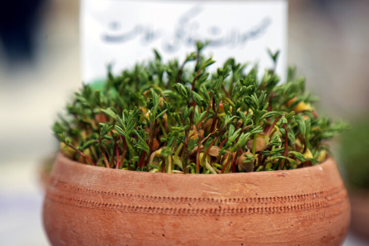 جشنواره «سَمَنو پزون» در بجنورد