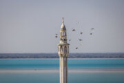 بازخوانی هویت تاریخی خلیج‌فارس از زبان پژوهشگران برجسته در قشم