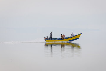 میهمانان دریاچه ارومیه