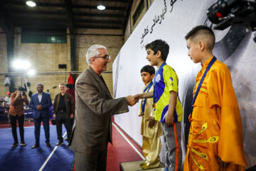 Iran’s Wushu games: Tai Chi Chuan