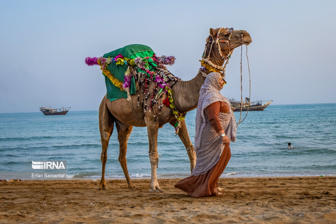 سواحل خلیج فارس