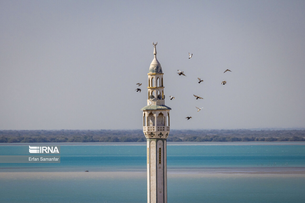 سواحل خلیج فارس
