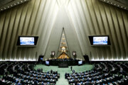نماینده مردم ورامین: مجلس دولت را در تحقق شعار سال یاری می‌کند