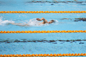 Finals of Iran’s Premier Swimming League in photos