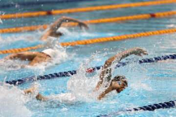 Finals of Iran’s Premier Swimming League in photos