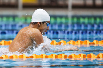 Finals of Iran’s Premier Swimming League in photos