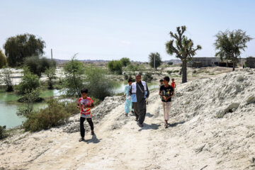 واکسیناسیون دام در مناطق سیل زده سیستان