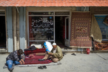 قالین فروشی های کابل