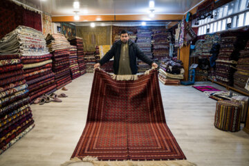 قالین فروشی های کابل