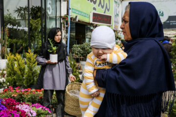 بازار گل مشهد در آستانه نوروز 1403