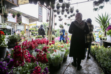 Mercado de flores y plantas de Mashhad en vísperas de Noruz