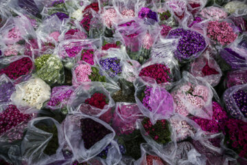 Mercado de flores y plantas de Mashhad en vísperas de Noruz