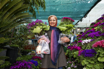 بازار گل و گیاه مشهد در آستانه نوروز