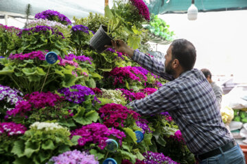 Marché aux Fleurs de Machhad 