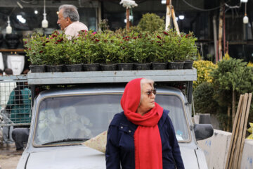 Marché aux Fleurs de Machhad 