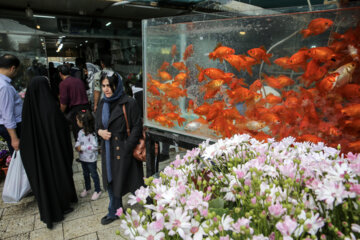 Mercado de flores y plantas de Mashhad en vísperas de Noruz