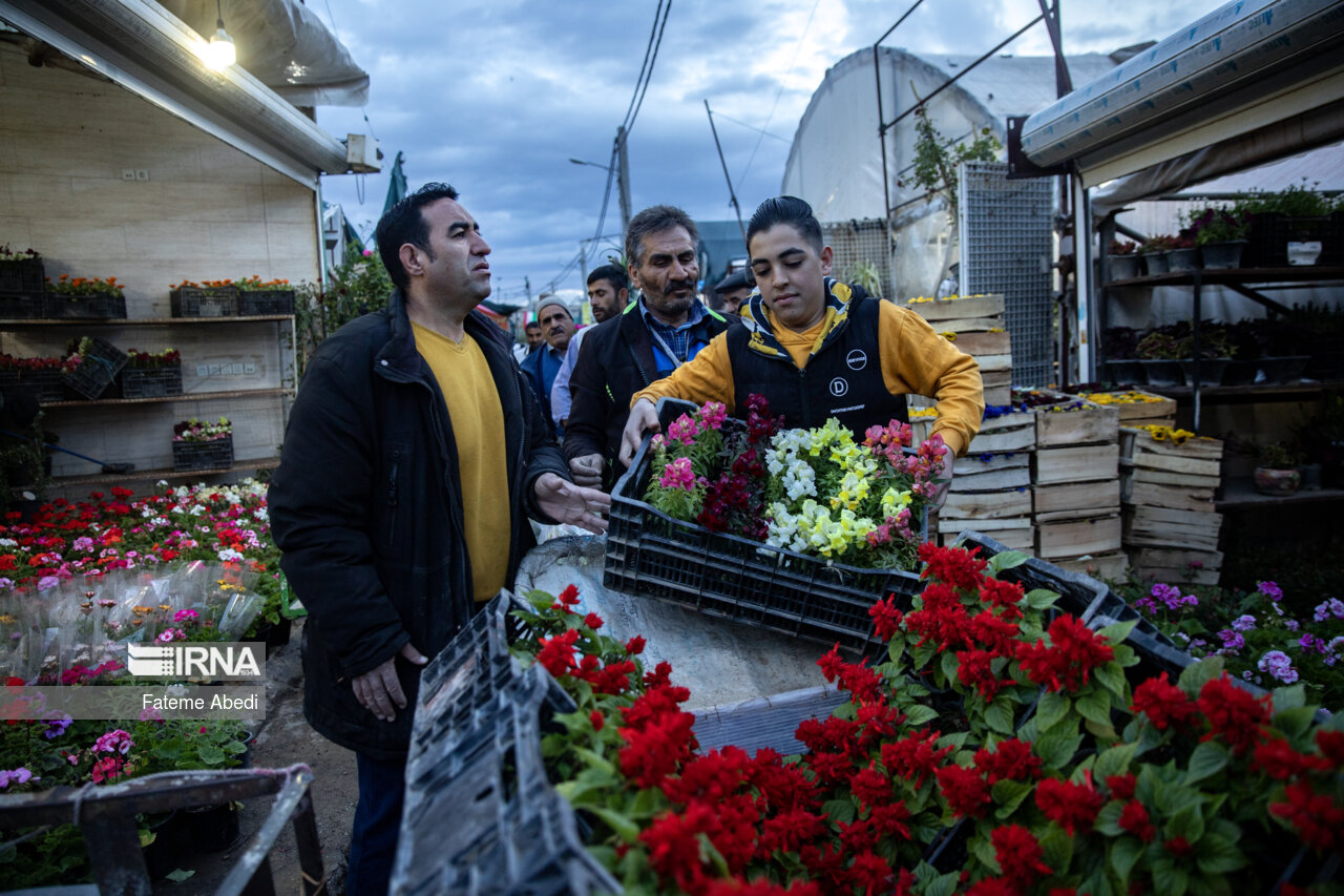 بازار گل محلاتی در آخرین روزهای سال ۱۴۰۳