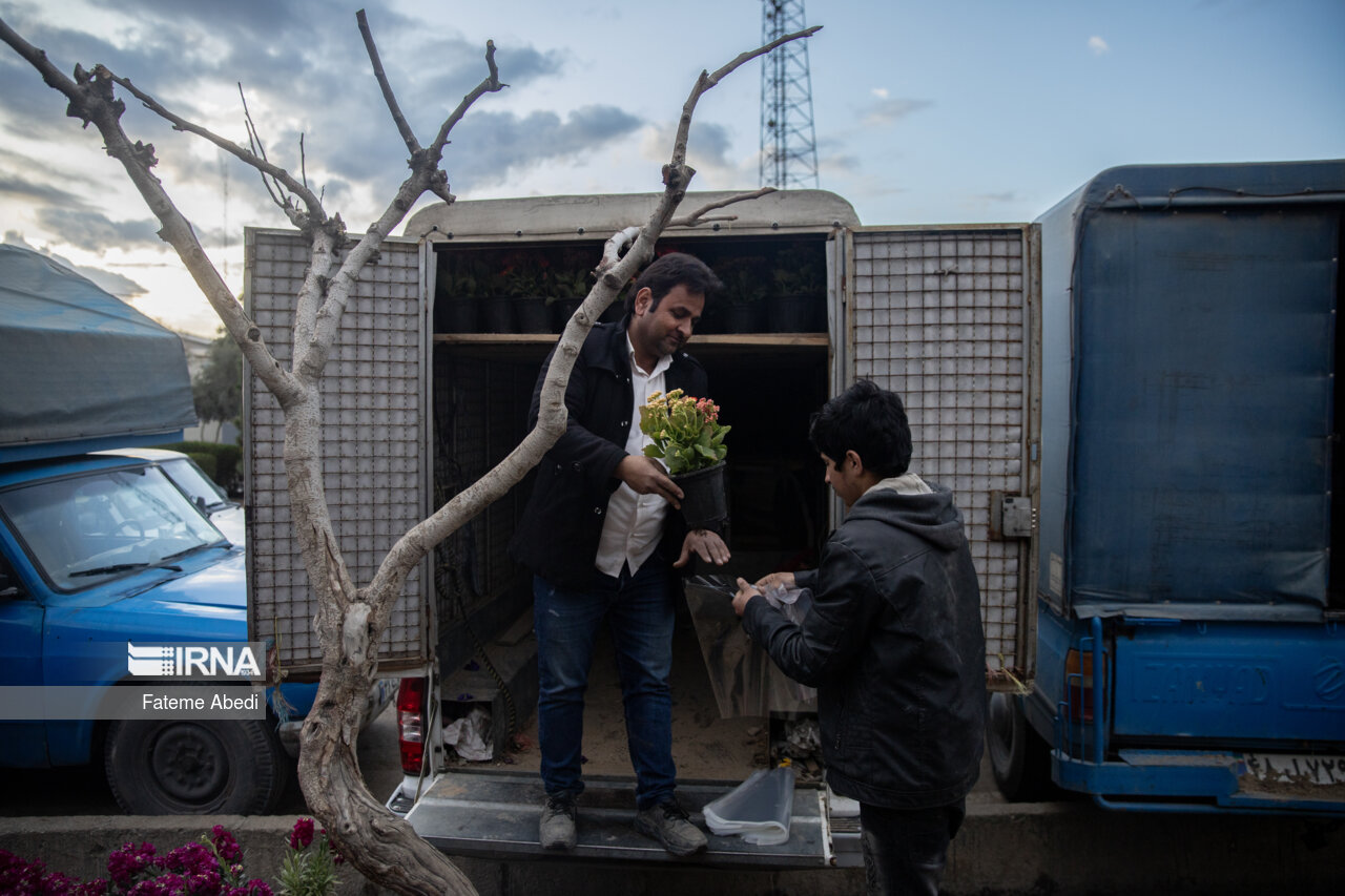 بازار گل محلاتی در آخرین روزهای سال ۱۴۰۳