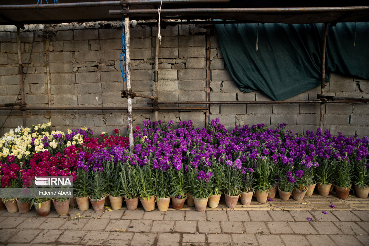 بازار گل محلاتی در آخرین روزهای سال ۱۴۰۳