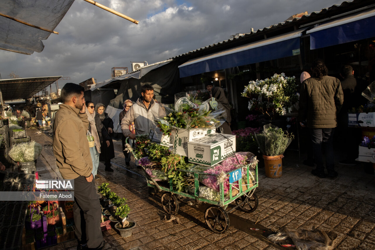 بازار گل محلاتی در آخرین روزهای سال ۱۴۰۳