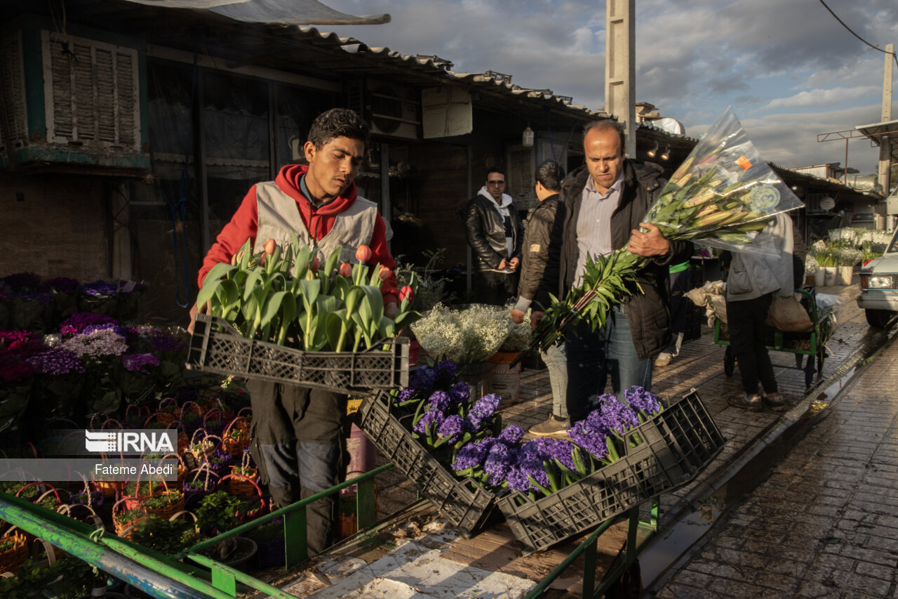 بازار گل محلاتی در آخرین روزهای سال ۱۴۰۳