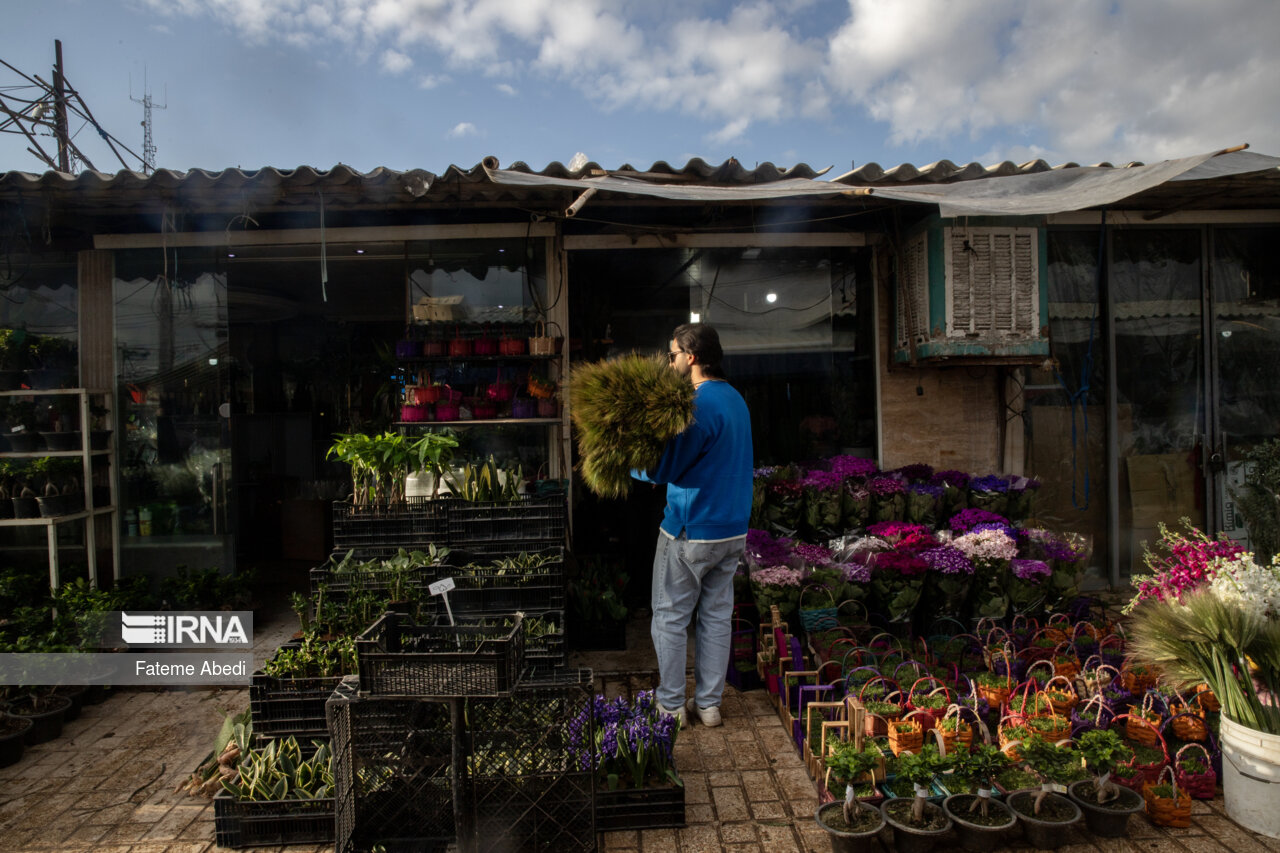 بازار گل محلاتی در آخرین روزهای سال ۱۴۰۳
