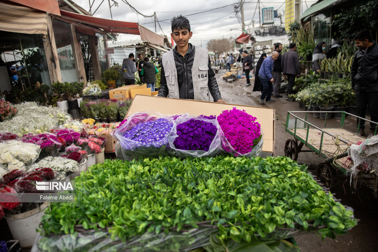 بازار گل محلاتی در آخرین روزهای سال ۱۴۰۳