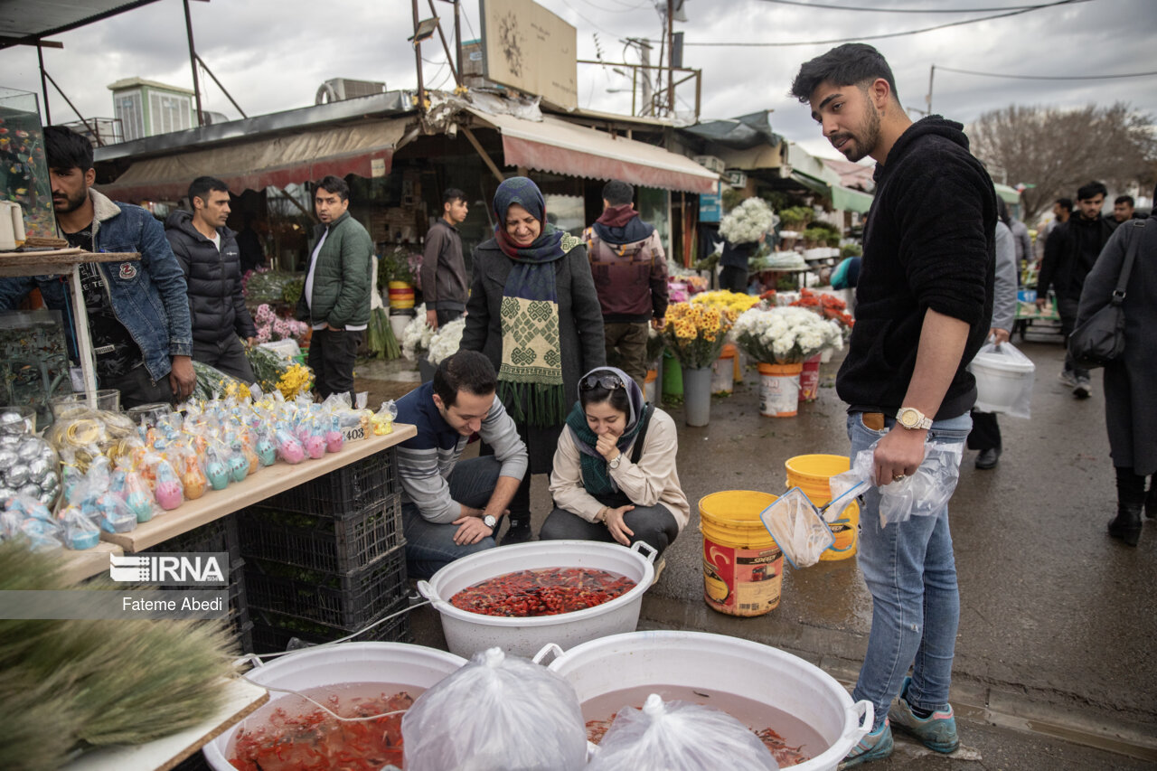 بازار گل محلاتی در آخرین روزهای سال ۱۴۰۳