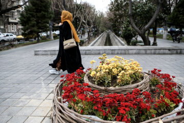 شکوفه های بهاری در تهران