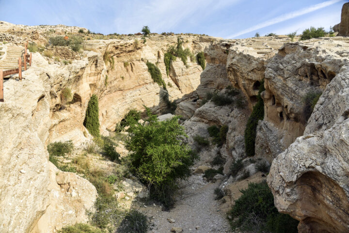 بندر سیراف در بوشهر