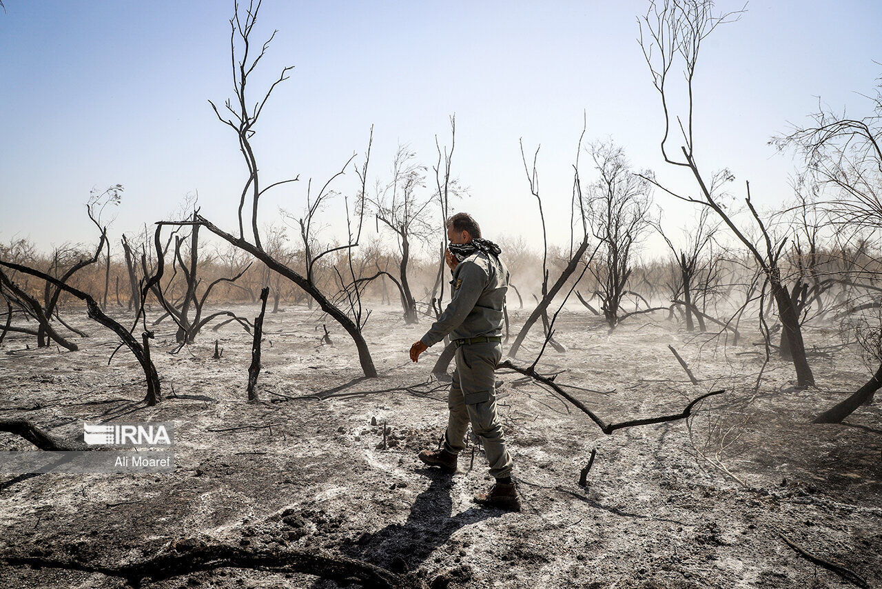 عکس منتخب سال ۱۴۰۲