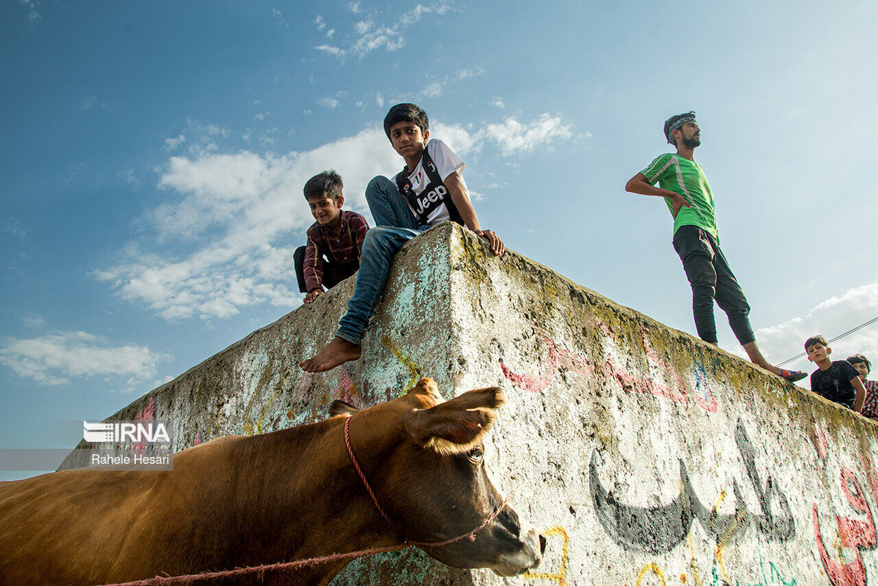 عکس منتخب سال ۱۴۰۲