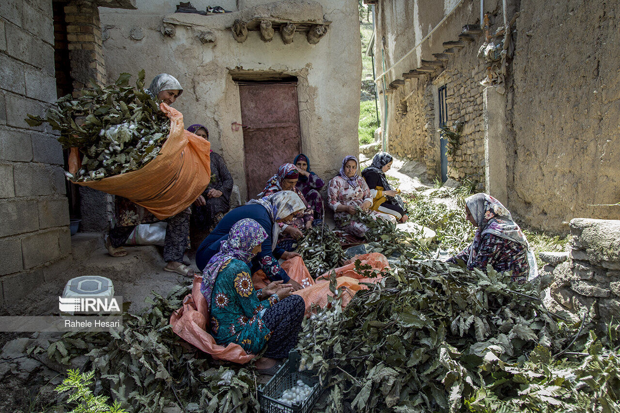 عکس منتخب سال ۱۴۰۲