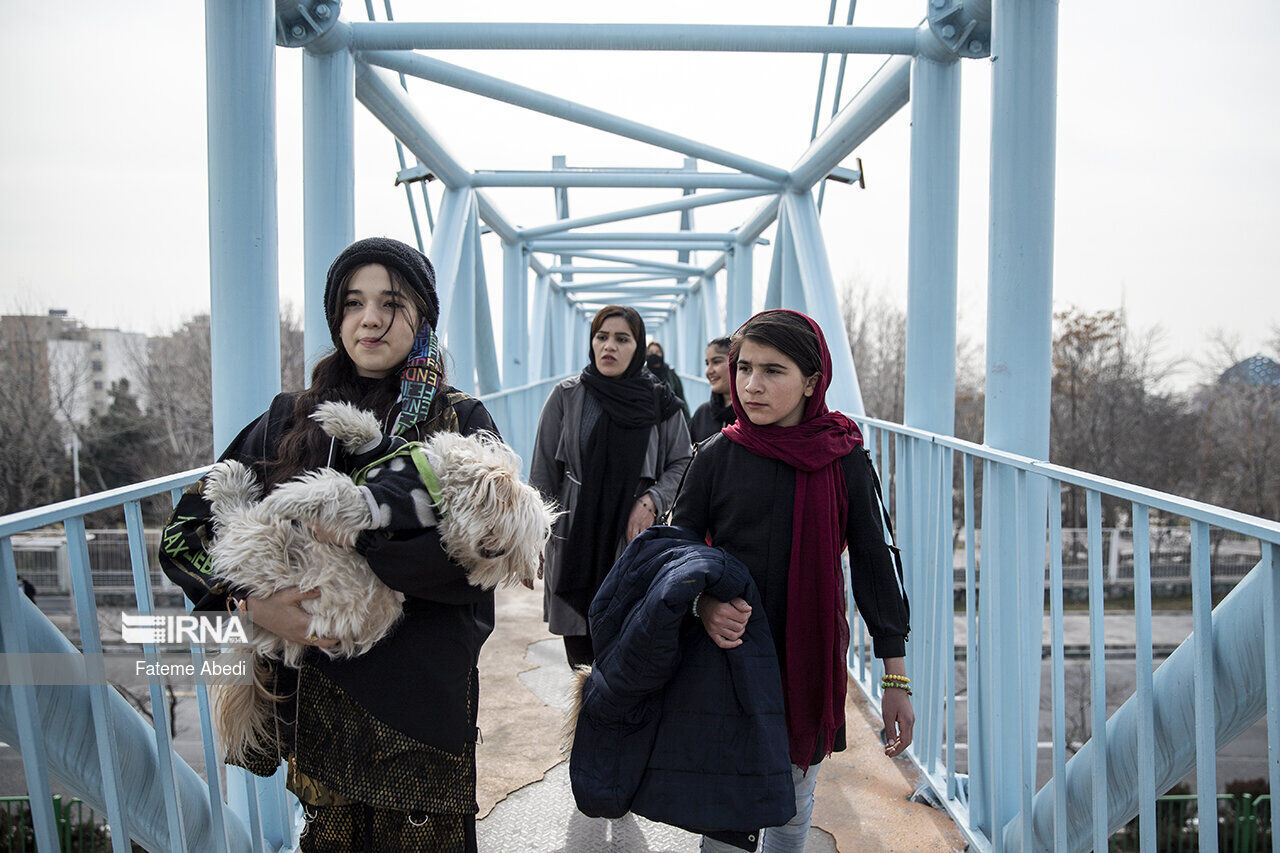 عکس منتخب سال ۱۴۰۲